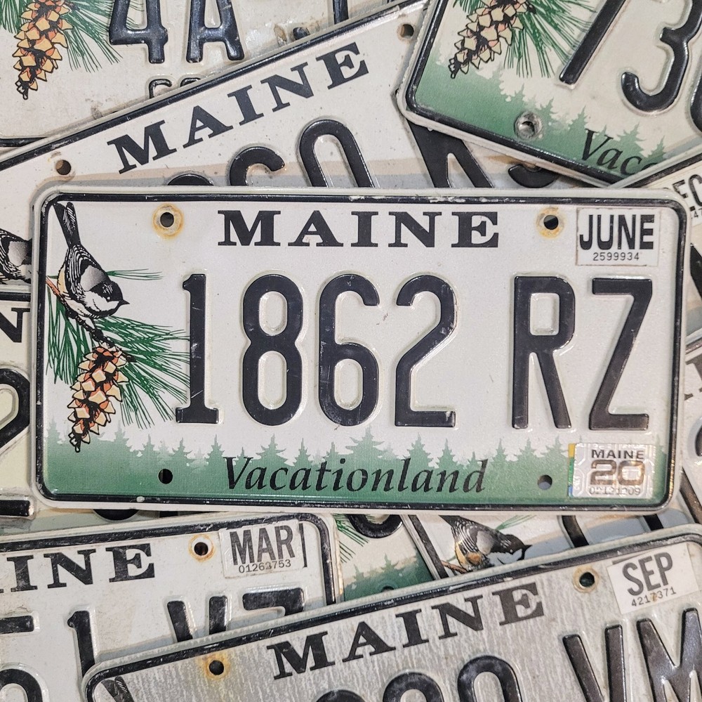 MAINE CHICKADEE LICENSE PLATE 🔥FREE SHIPPING🔥 1 w/RANDOM LETTERS & NUMBERS