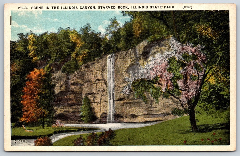 Illinois~Waterfall Scene In Canyon @ Starved Rock State Park~Vintage Postcard