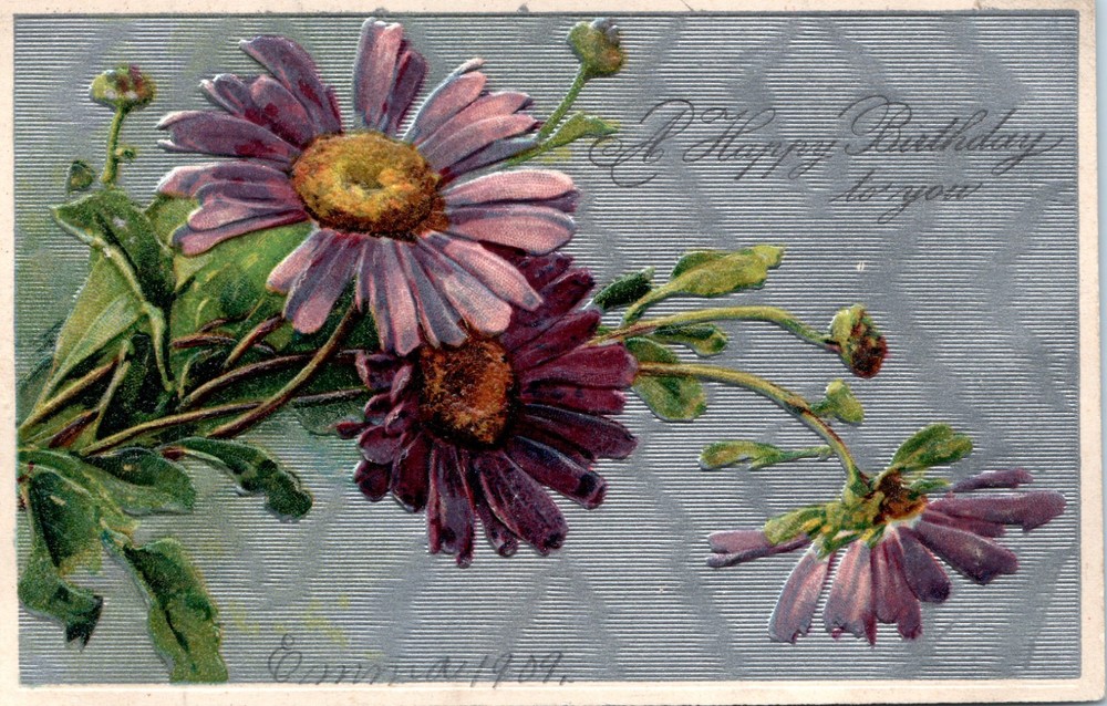 Vintage - Lovely Purple Cone Flowers Silver Embossed Birthday - Postcard - P12