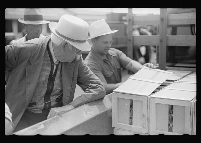 Fruit Market,Benton Harbor,Michigan,MI,FSA,1940,Farm Security Administration,9