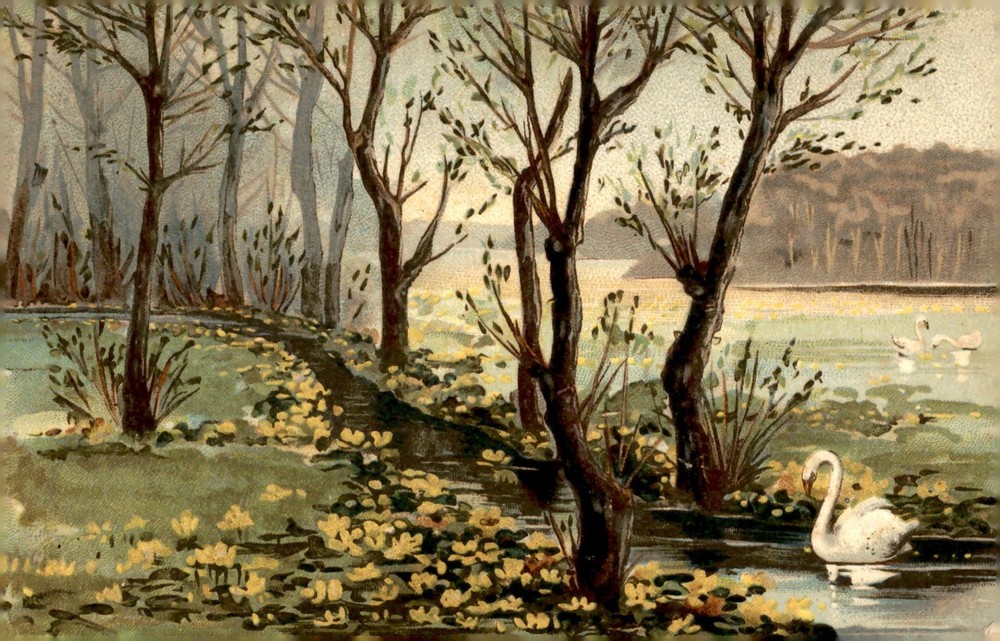 Weltpostverein - Union postale universelle Postcard