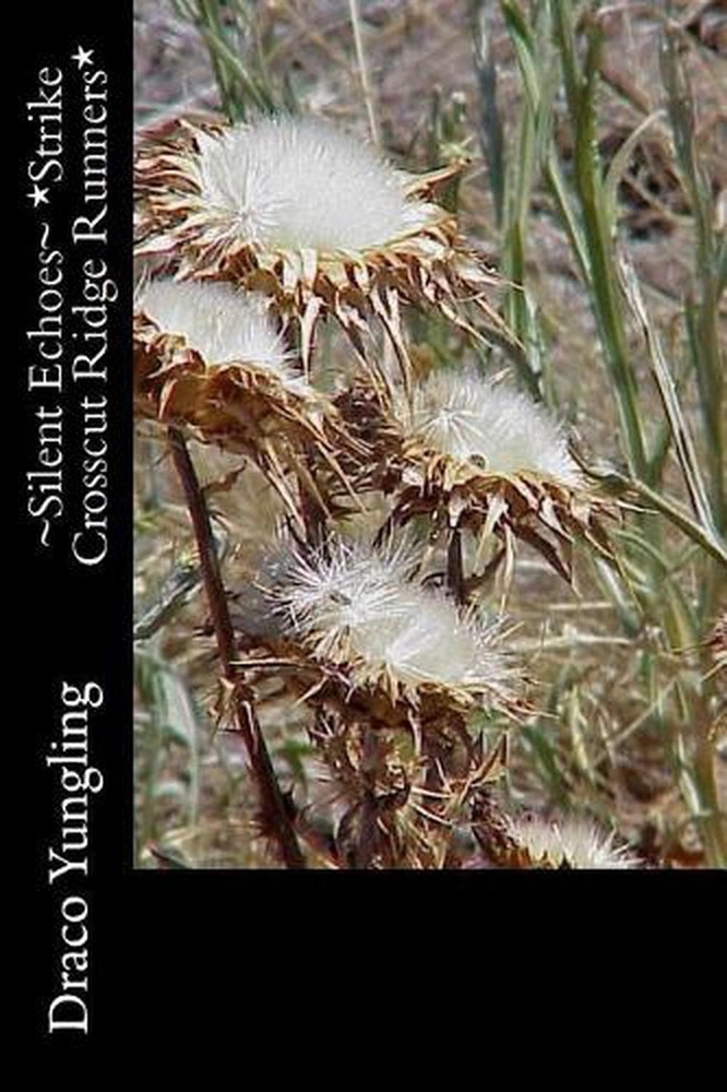 Silent Echoes *strike Crosscut Ridge Runners* by Draco Yungling (English) Paperb