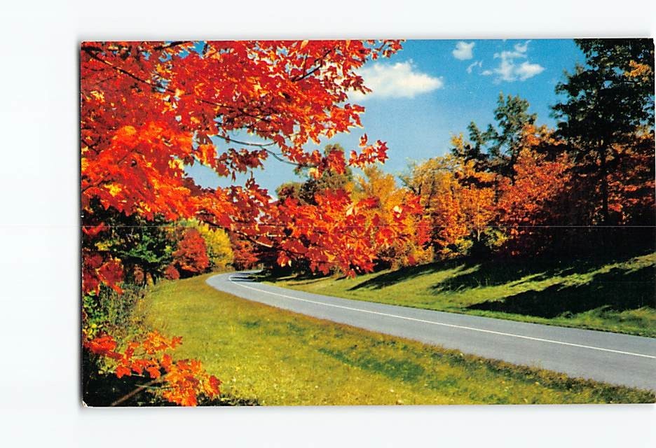 Postcard Autumn Scene Parkway Blue Ridge Parkway Virginia-North Carolina USA