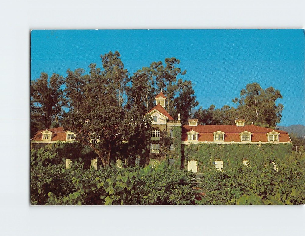 Postcard Inglenook Wintery Rutherford California USA