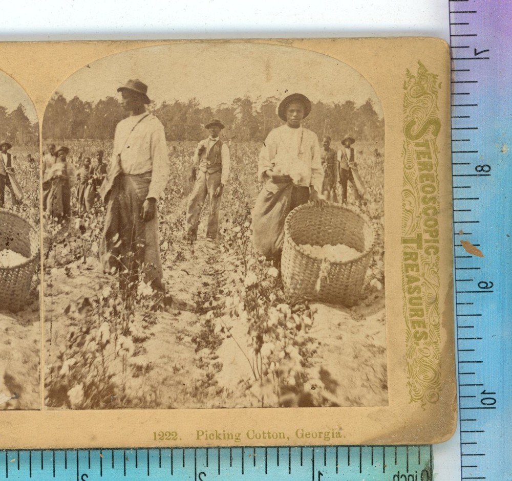 Georgia Cotton Field GA Littleton Stereoview