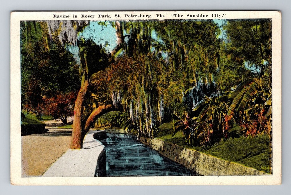 St Petersburg FL-Florida, Roser Park Ravin, Antique Vintage Souvenir Postcard