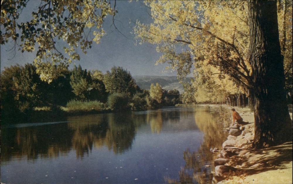 Reno Nevada ~ Truckee River ~ autumn foliage ~ postcard sku503