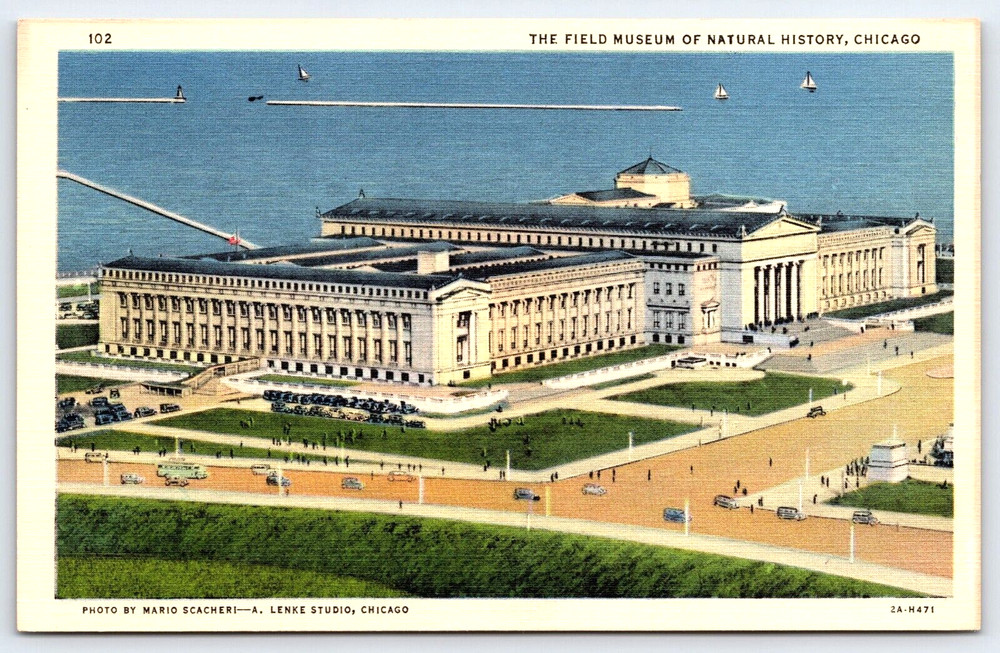 Chicago Illinois Field Museum Of Natural History Lake Michigan Vintage Postcard