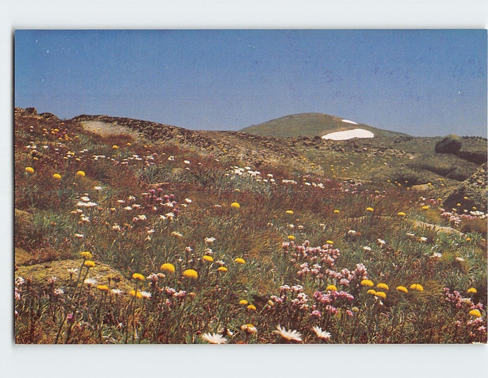 Postcard Mount Kosciuszko Australia