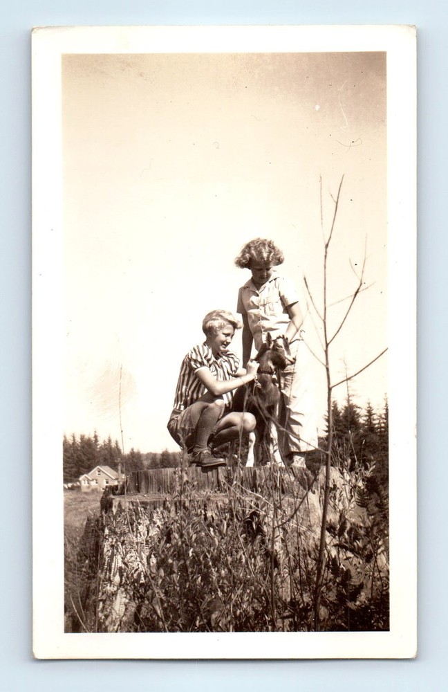 Old Vintage Photo PAIR GIRLS WITH GOAT ON TREE STUMP IN FIELD MEADOW SNAPSHOT