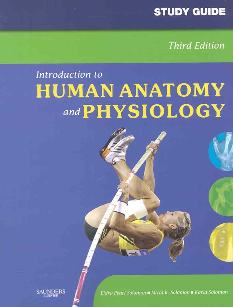 Study Guide for Introduction to Human Anatomy and Physiology