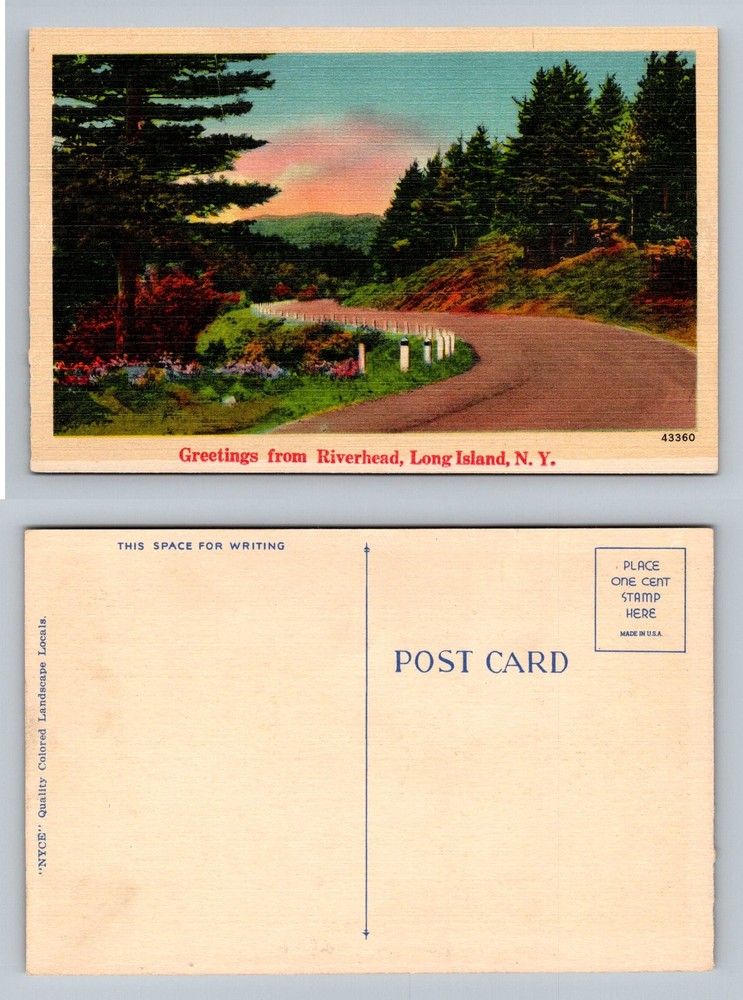 Riverhead, NY-New York, Long Island Curved Road Scenic View Vintage Postcard