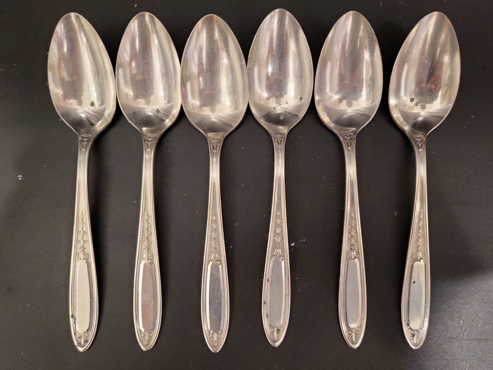 6 Oneida Community Tudor Plate Enchantment aka Bounty Teaspoons