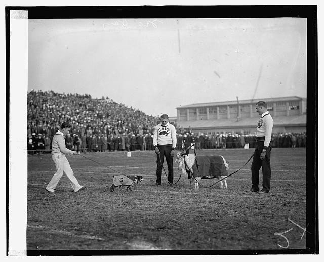 Photo:G.U. Navy,1926,11/13/26,Football Players,American Sports,Athletes