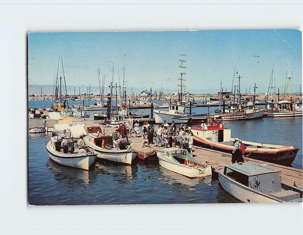 Postcard Westport Fishing Fleet Washington USA