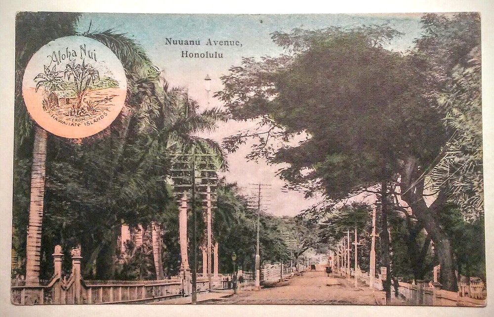 1900's Nu'uanu Avenue Honolulu Aloha Nui Hawaiian Islands TH HSSC #79 UDB