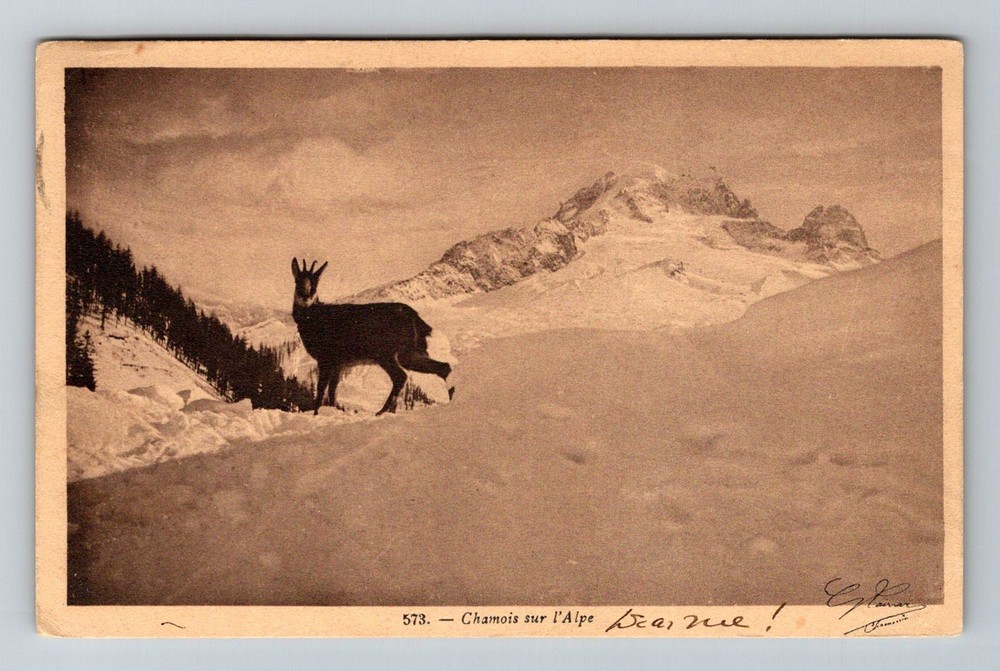 France- Antelope On Alps Mountain Range Postal Old Card View PC Vintage Postcard