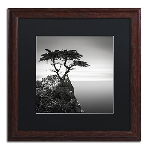 The Lone Cypress Black Matte Wood Frame by Dave MacVicar 16x16