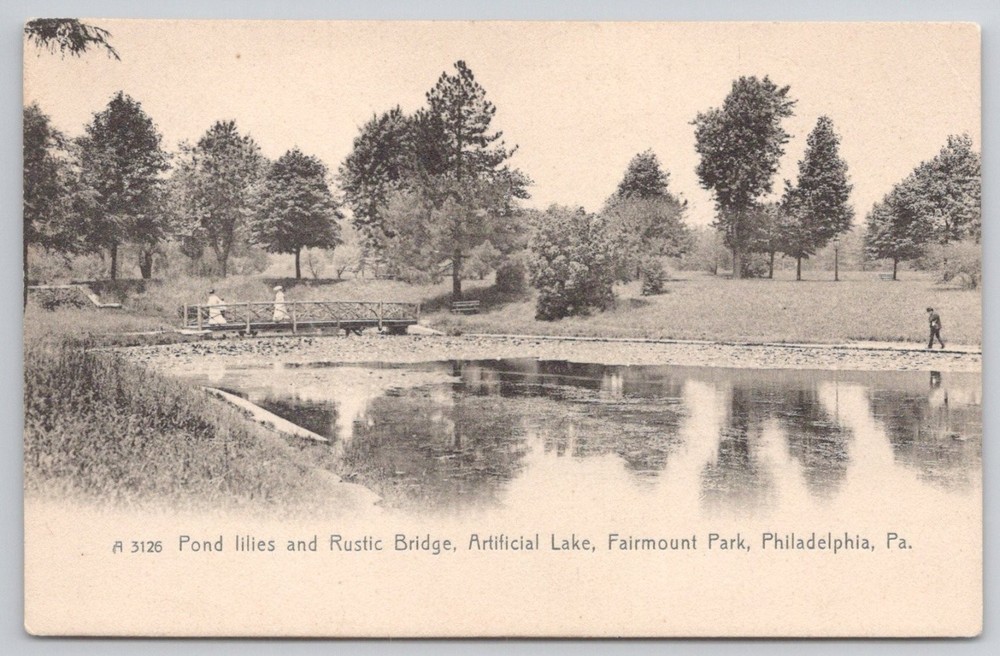 Fairmount Park Philadelphia PA Pond Lilies Rustic Bridge Rotograph Postcard