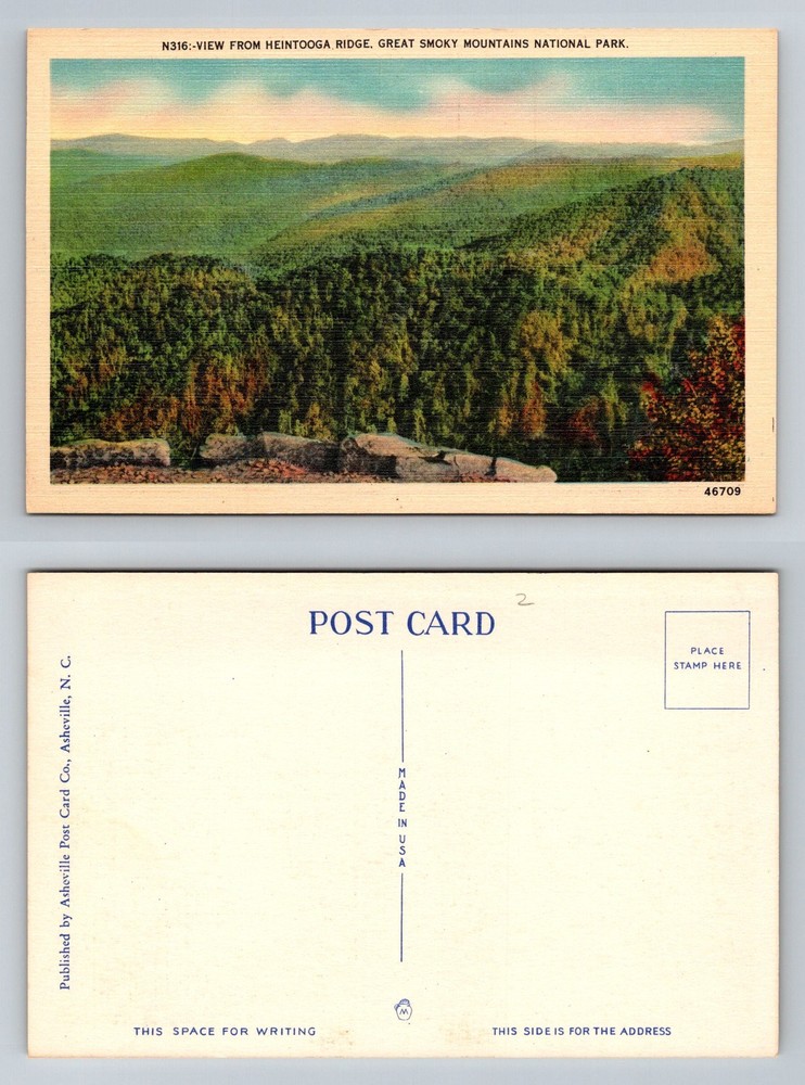 Great Smoky Mountains TN, Heintooga Ridge Scenic Mountain View, Vintage Postcard