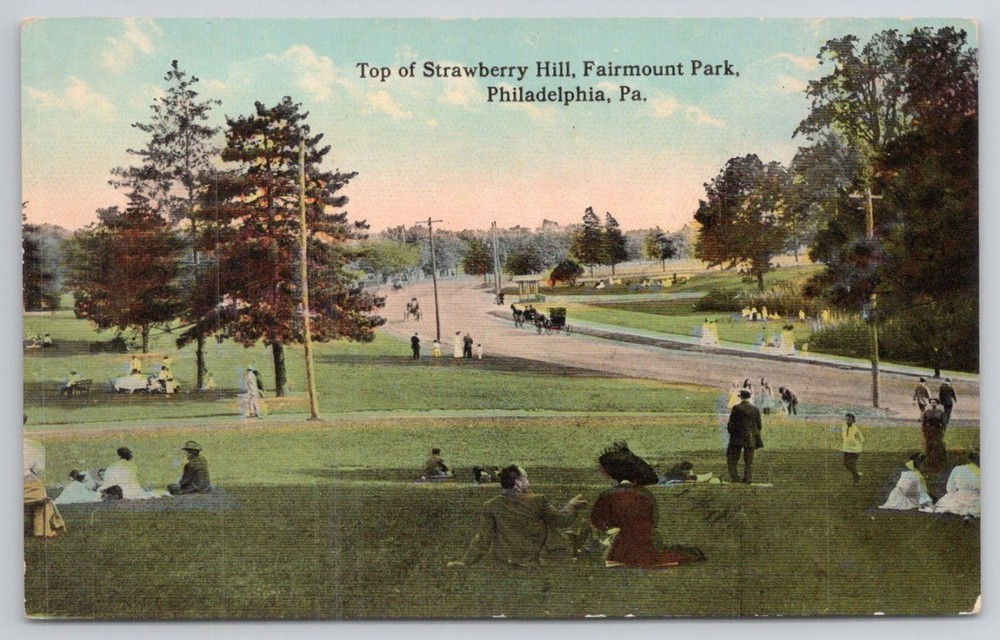 Strawberry Hill Fairmount Park Philadelphia PA Vintage Postcard Divided Back