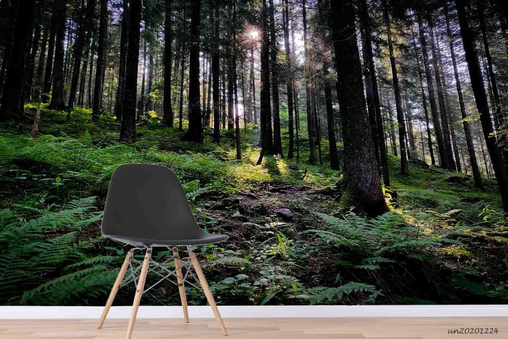 3D Woods Sunlight Landscape Wall Murals Wallpaper Murals Wall Sticker