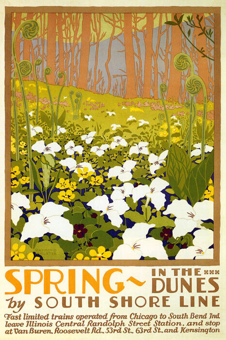 Spring In The Dunes South Shore Chicago Flower Travel Train Vintage Poster Repro