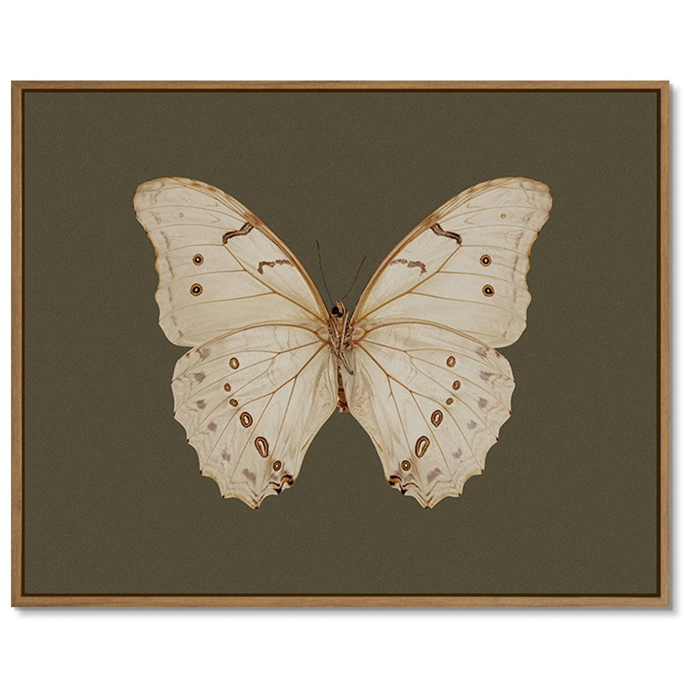 Vintage White Butterfly Canvas Prints Morpho Wall Art Dark Moody Insect Pictu...