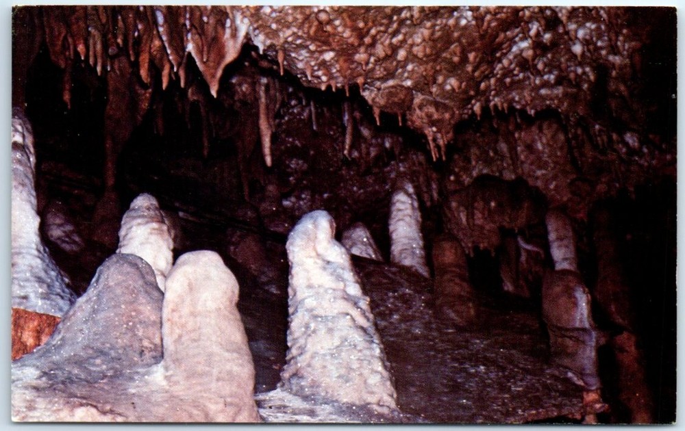 Postcard - Truitt's Cave & Underground Restaurant, Lanagan, Missouri, USA