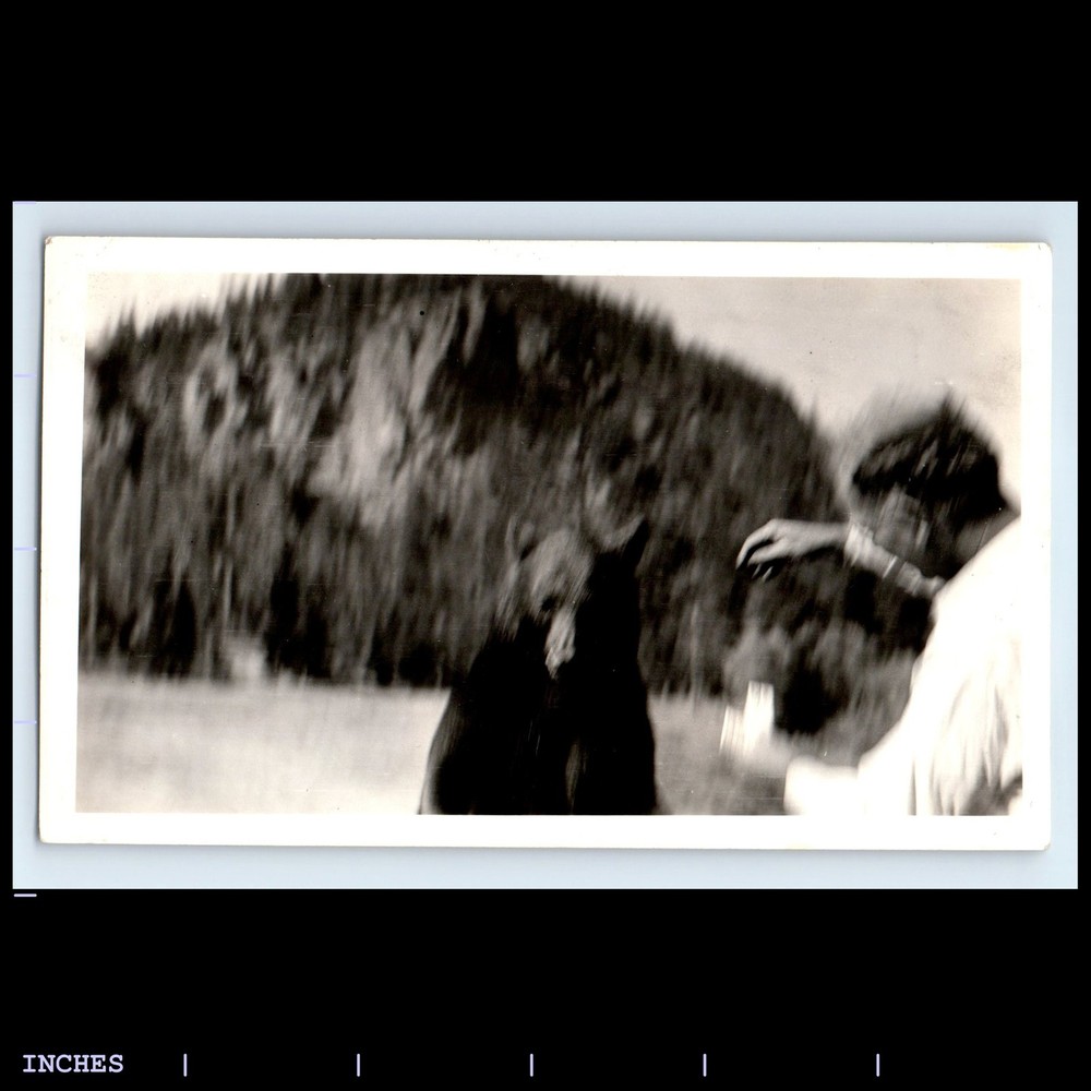 Vintage Photo MAN FEEDING BEAR MOTION BLUR BLURRY