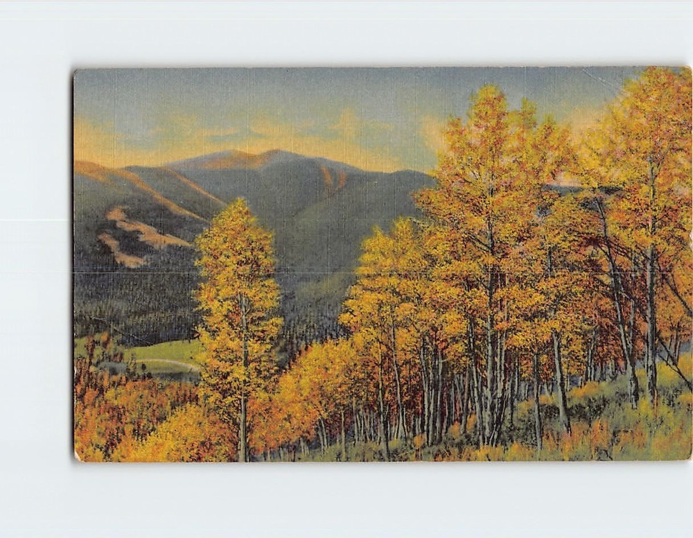 Postcard Autumn Trees & Mountains Nature Scene