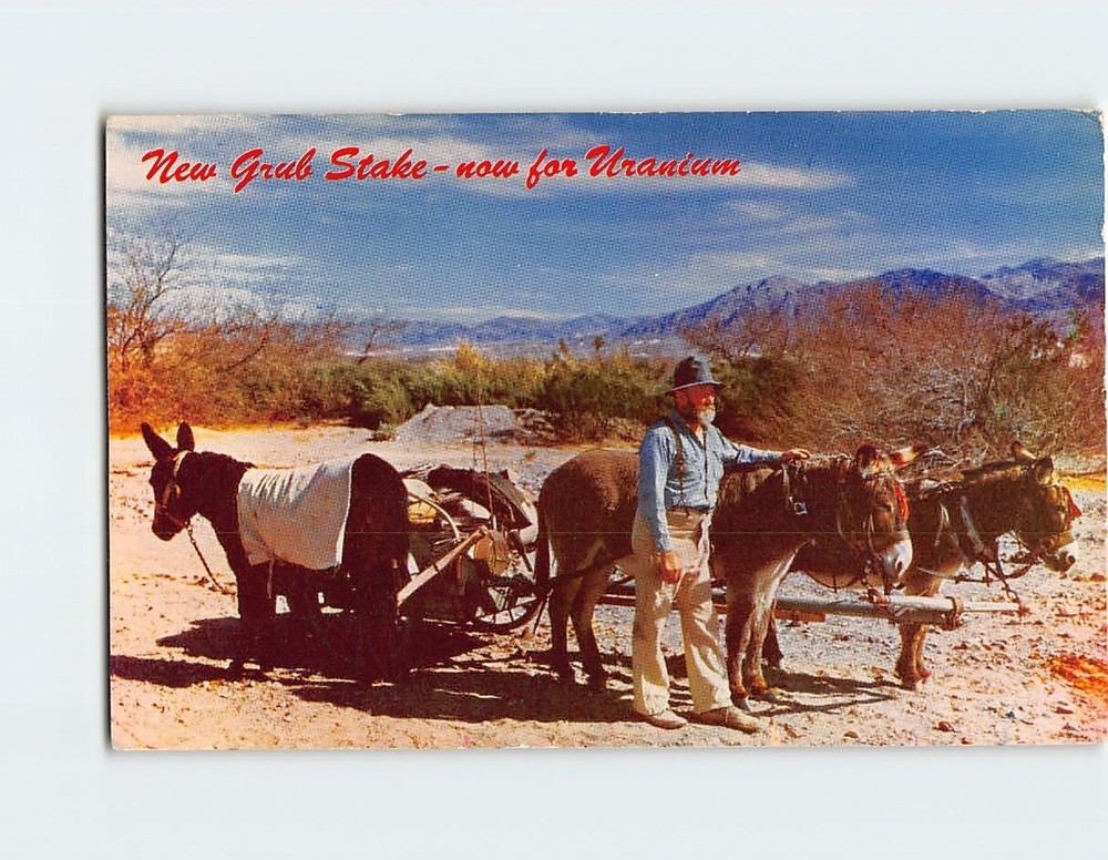 Postcard Grub Stake Now For Uranium Old Prospector