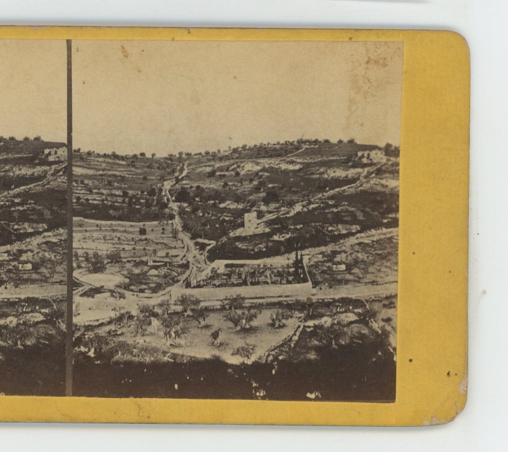Jerusalem Garden of Gethsemane Palestine Stereoview