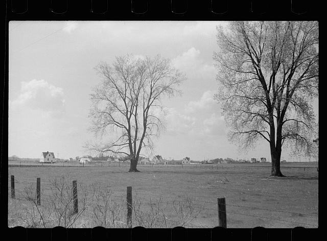 Photo:1930s Rural Farm Field Trees Houses Landscape Photograph