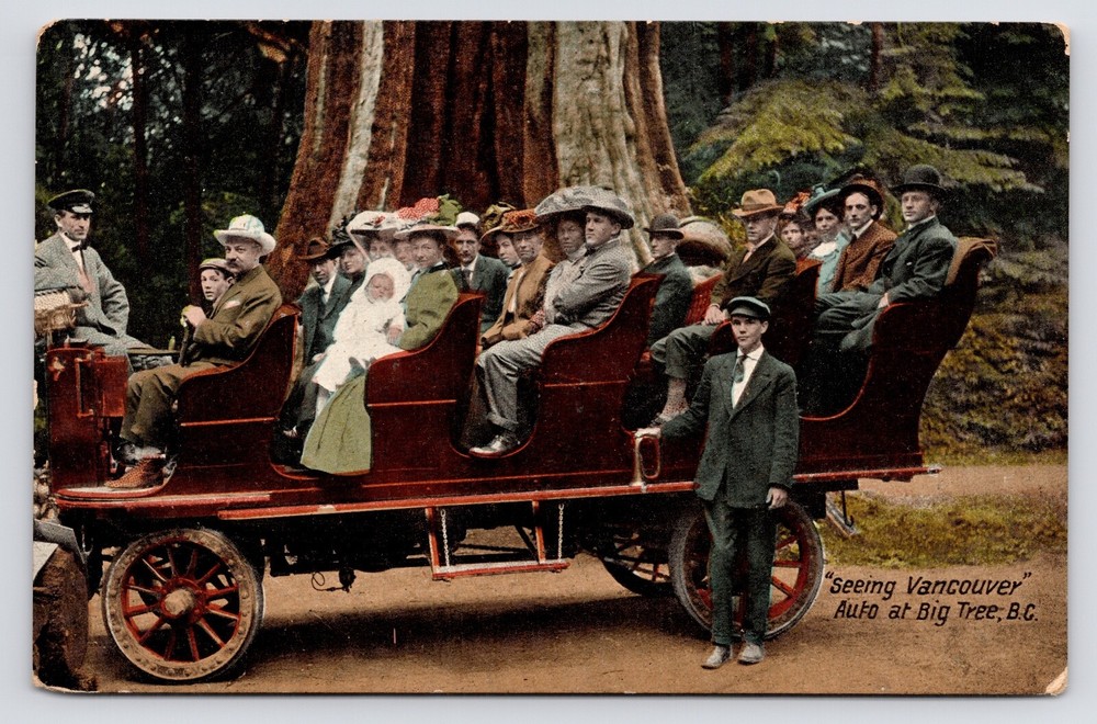Big Tree Stanley Park People in Auto Vancouver BC Canada c1908 Postcard
