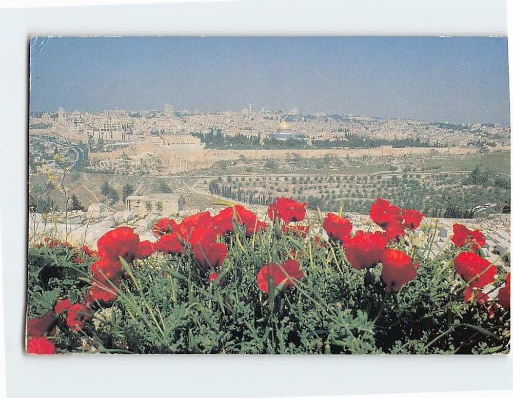 Postcard Jerusalem seen from Mount of Olives Jerusalem Israel