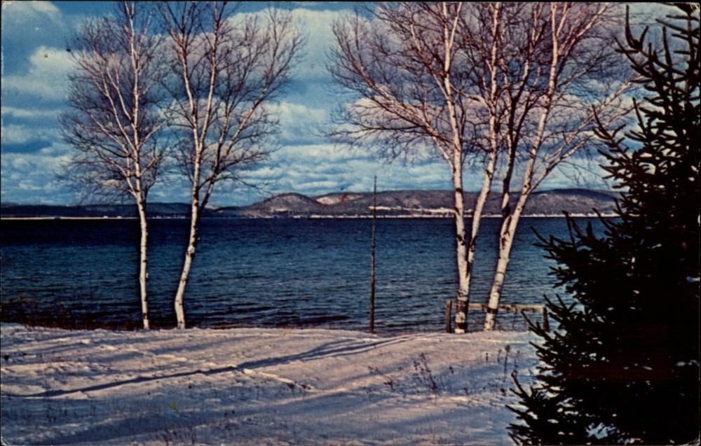 Michigan winter snow scene white birch trees ~ 1970 vintage postcard sku861
