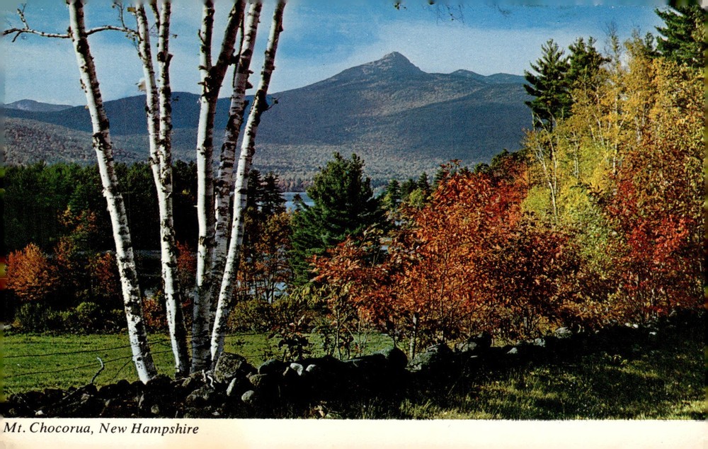 1970s Mt Chocorua White Mountains New Hampshire Winston Pote Chrome Postcard