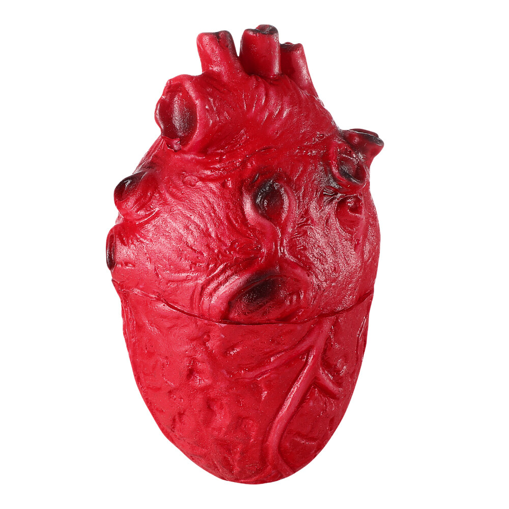 Fake Halloween Heart That Prop Body Parts Bloody Child