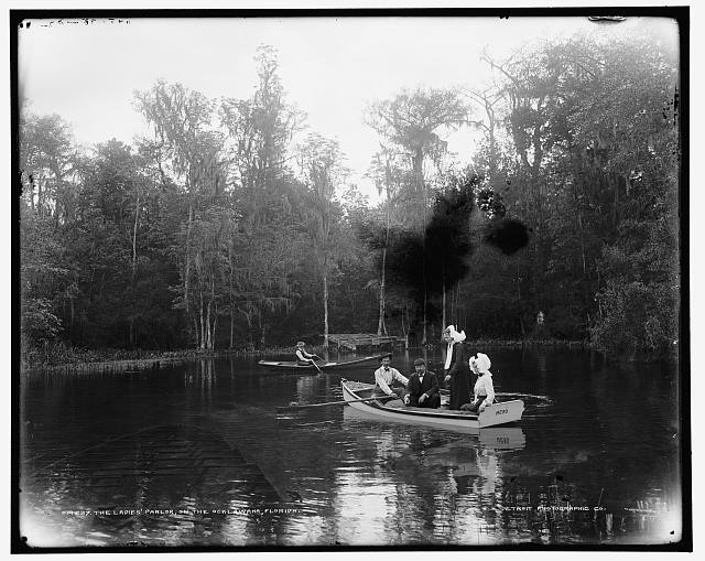 Photo:The ladies' parlor on the Ocklawaha sic, Florida