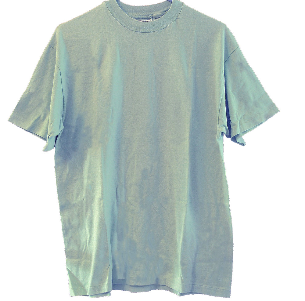 Men's Hane's Size Large CrewNeck T-Shirt Short Sleeve Stonewashed Green
