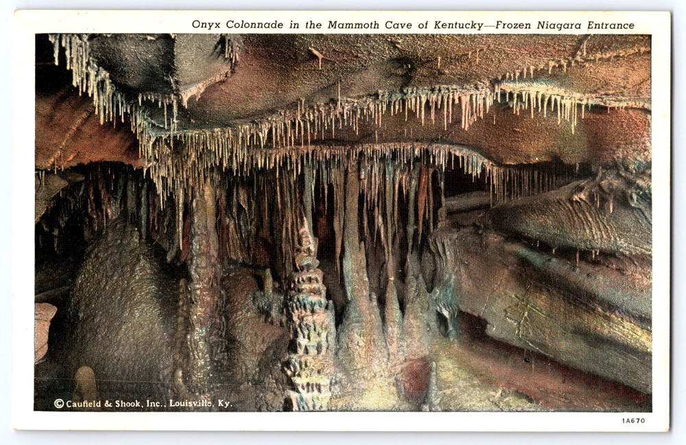Mammoth Cave Of Kentucky Onyx Colonnade Frozen Niagara Entrance Vintage Postcard