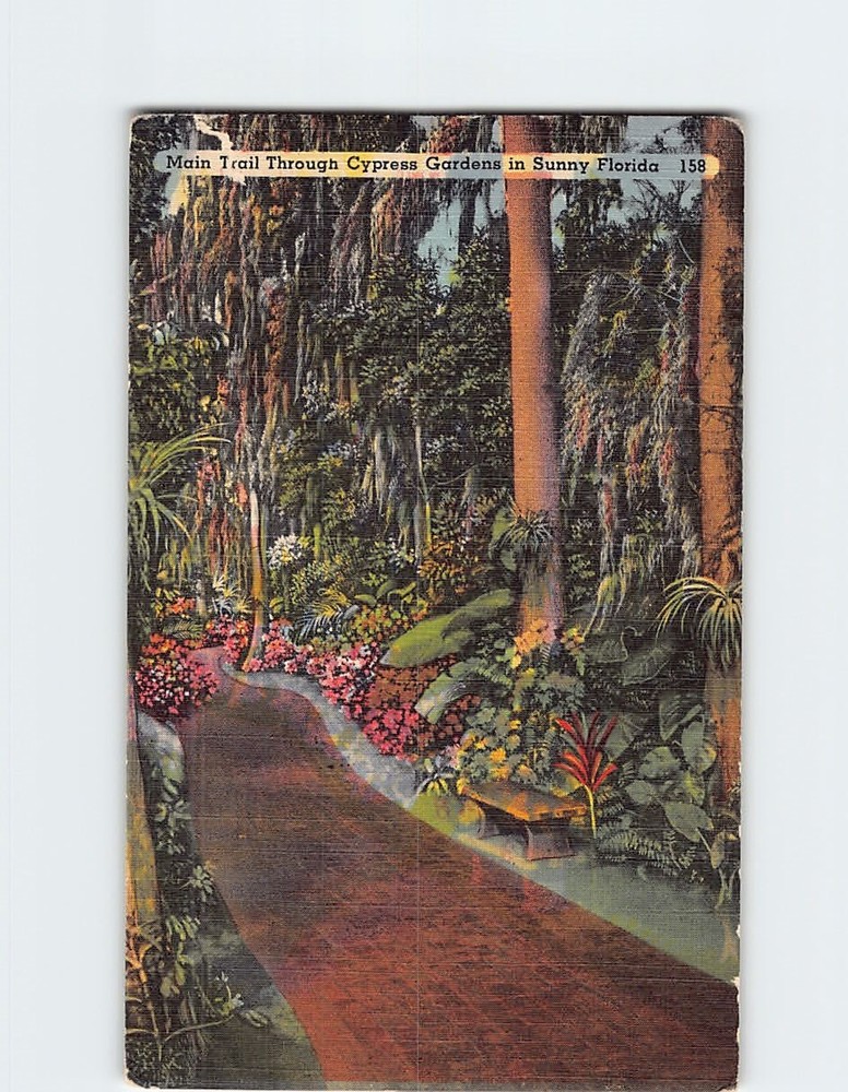 Postcard Main Trail Through Cypress Gardens in Sunny Florida USA