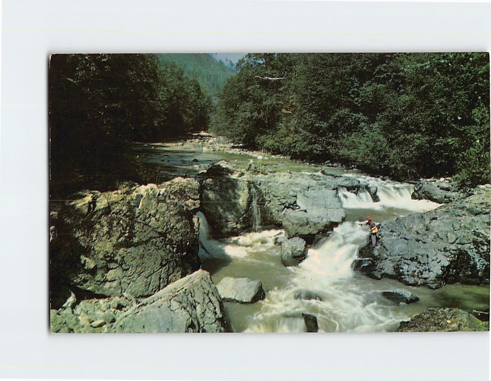 Postcard Umpqua River Oregon USA