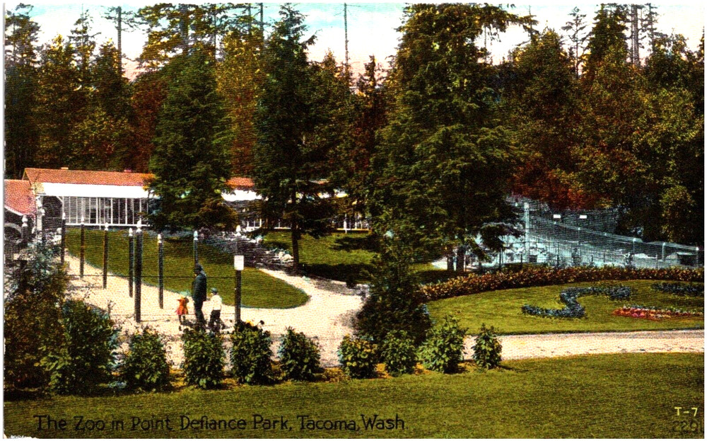 The Zoo in Point Defiance Park Tacoma Washington WA 1910s Postcard Unused