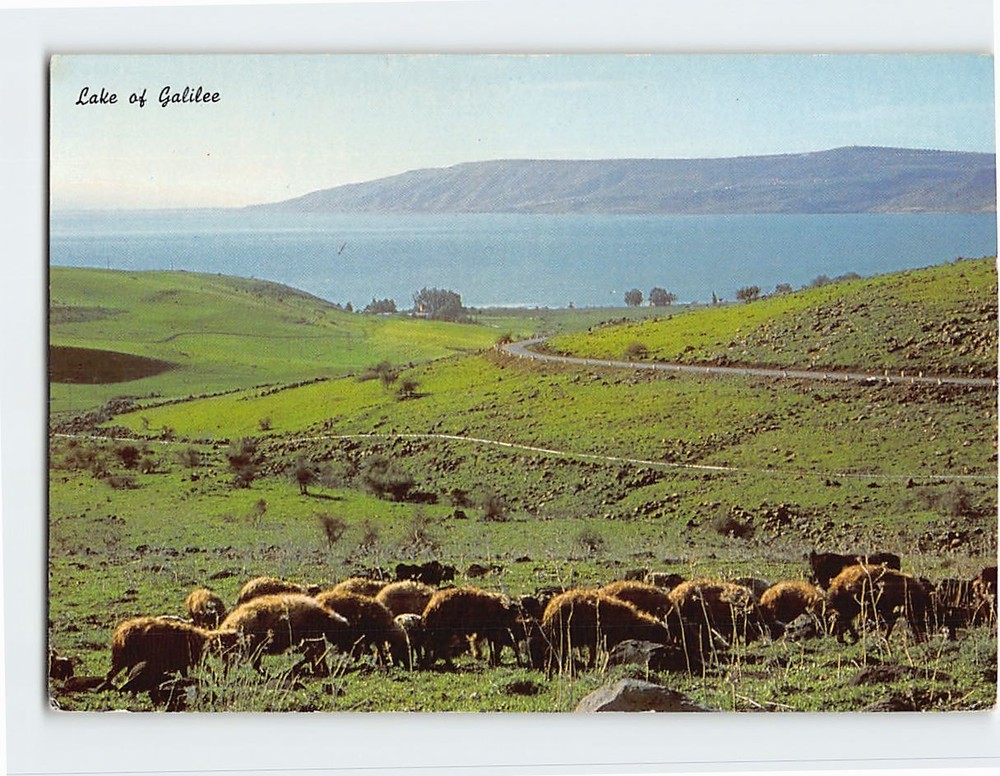 Postcard Lake of Galilee Israel