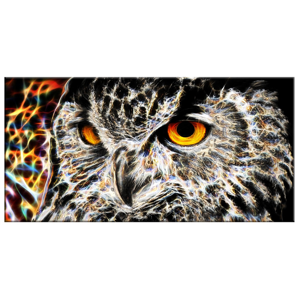 Discover Stunning Multi-Color Owl Canvas Art in Various Sizes, 32x16 Inches Wide