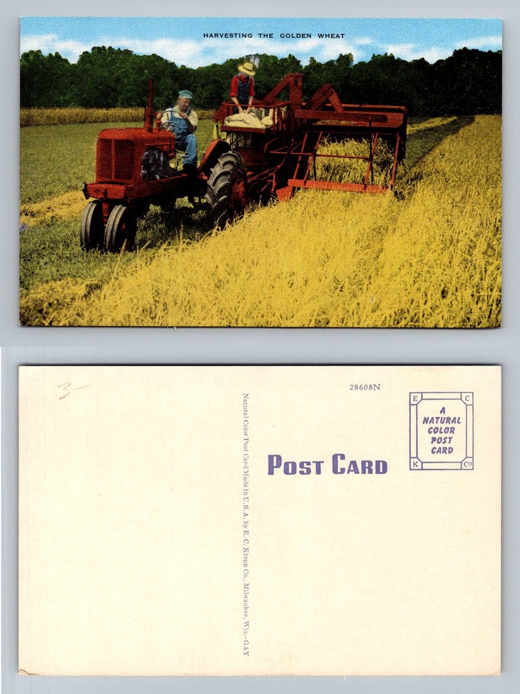 WI-Wisconsin, Harvesting Golden Wheat Farm Tractor Thresher Vintage Postcard