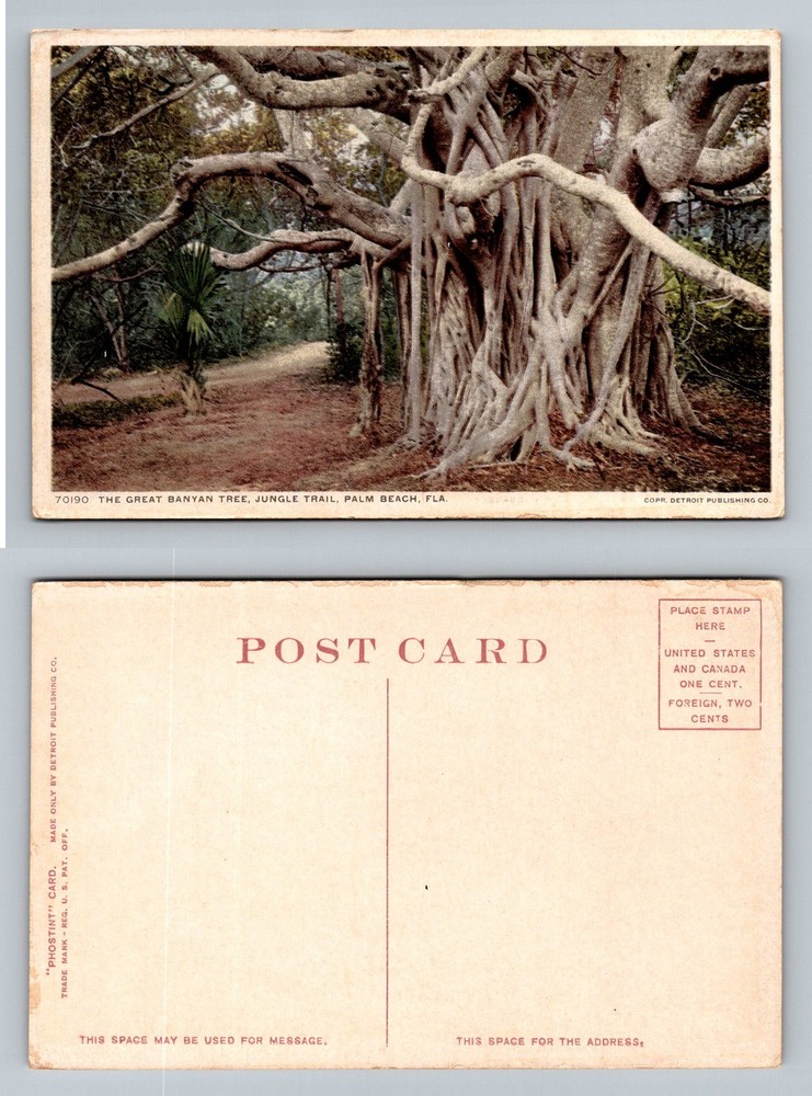 Palm Beach, FL-Florida, The Great Banyan Tree Jungle Trail Vintage Postcard