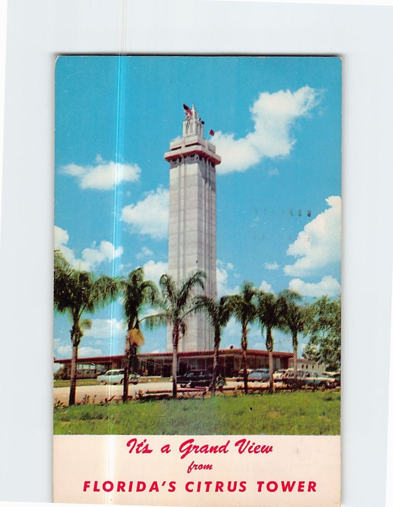 Postcard Its a Grand View from Floridas Citrus Tower Clermont Florida